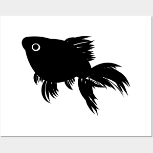 Goldfish Black White 4 Posters and Art